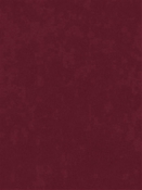 Counterpoint 41605 Barrow Fabric