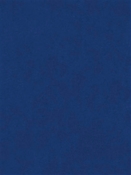 Counterpoint 41905 Barrow Fabric
