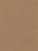 Counterpoint 61105 Barrow Fabric 