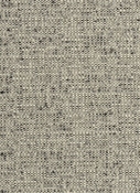 Coconut Graphite Crypton Fabric