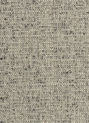 Coconut Graphite Crypton Fabric
