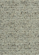 Coconut Gulf Crypton Fabric
