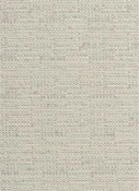 Coconut Metal Crypton Fabric