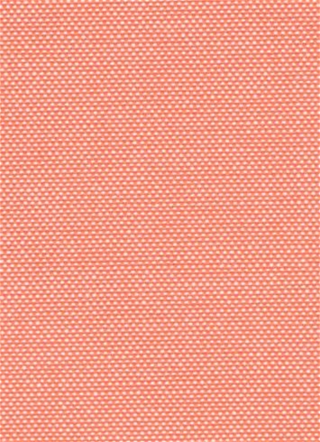 Laguna Coral Ticking Fabric