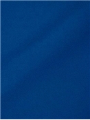 Canvas 5499 True Blue