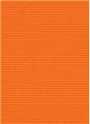 Canvas 5406 Tangerine