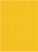 Canvas 5457 Sunflower Yellow Sunbrella Fabric