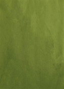 Casablanca 30 Lime Green Europatex