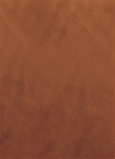 Casablanca 44 Pumpkin Orange Europatex