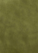 Casablanca 51 Vine Green Europatex