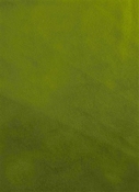 Casablanca 52 Grass Green Europatex