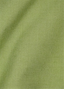 Coronado Celery Solid Fabric