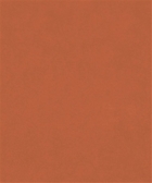 M9989-MANDARIN 11505