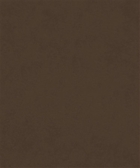 Counterpoint M9989 ESPRESSO 12205