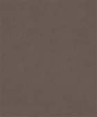 M9989-OYSTER 12303