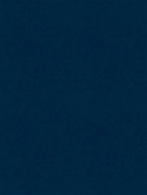 Counterpoint 21908 Barrow Velvet Fabric