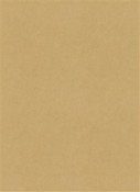 Counterpoint 31005 M9989 Chamois