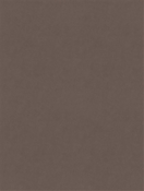 Counterpoint 42303 M9989 Oyster