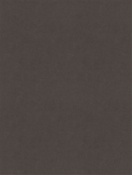 Counterpoint 42307 M9989 Caviar