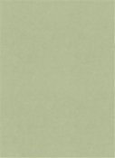 Counterpoint M9989 62101 Celadon Barrow Fabric