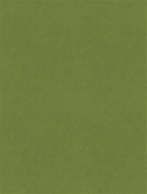 Counterpoint M9989 62103 Jade Barrow Fabric