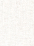 Diego 11001 Barrow Chenille Fabric