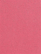 DK61731 122 Blossom