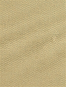 DK61731 152 Wheat