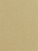 DK61731 152 Wheat