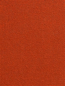 DK61731 34 Pumpkin