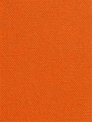 DK61731 35 Tangerine