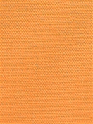 DK61731 451 Papaya