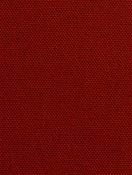 DK61731 537 Paprika