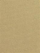 DK61731 564 Bamboo