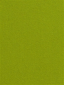 DK61731 579 Peridot