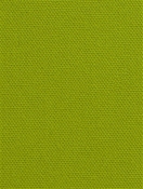 DK61731 579 Peridot