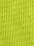 DK61731 609 Wasabi