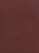 Derma Raisin Performance Faux Leather Europatex 
