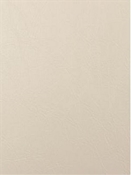 Derma White Performance Faux Leather Europatex 