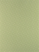 Escondido Kiwi Barrow Fabric