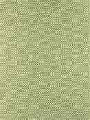 Escondido Kiwi Barrow Fabric