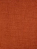 FEARLESS CORAL M9281