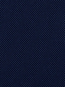 Fergus 591 Midnight Covington Fabric 