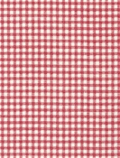 Falmouth Coral Gingham Check