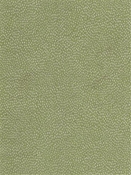 Galaxy Aloe Tempo Fabrics