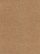 Galaxy Honey Tempo Fabrics