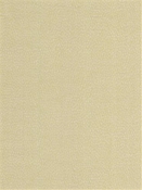 Galaxy Lemongrass Tempo Fabrics
