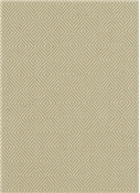 Haven 114 Seashell