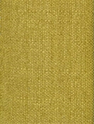 Easy Clean HP Rye 244 Acid Green