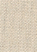 Heritage Papyrus 18006-0000